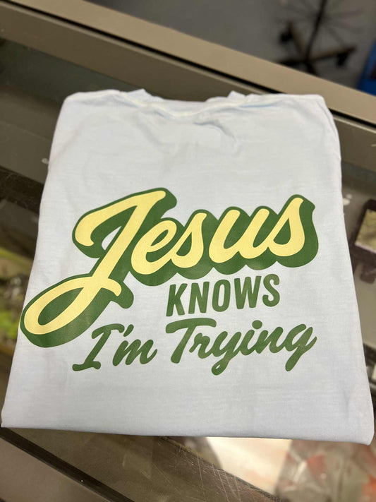 Jesus Knows I'm Trying Short Sleeve, Chambray